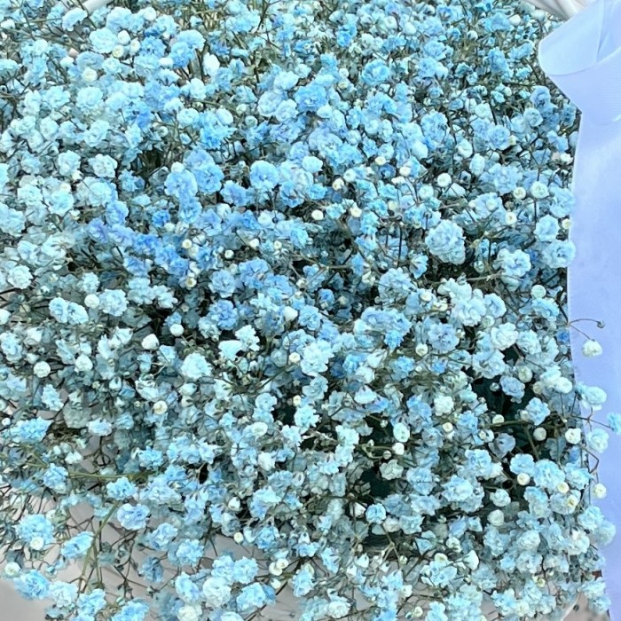 11 голубых гипсофил в корзине